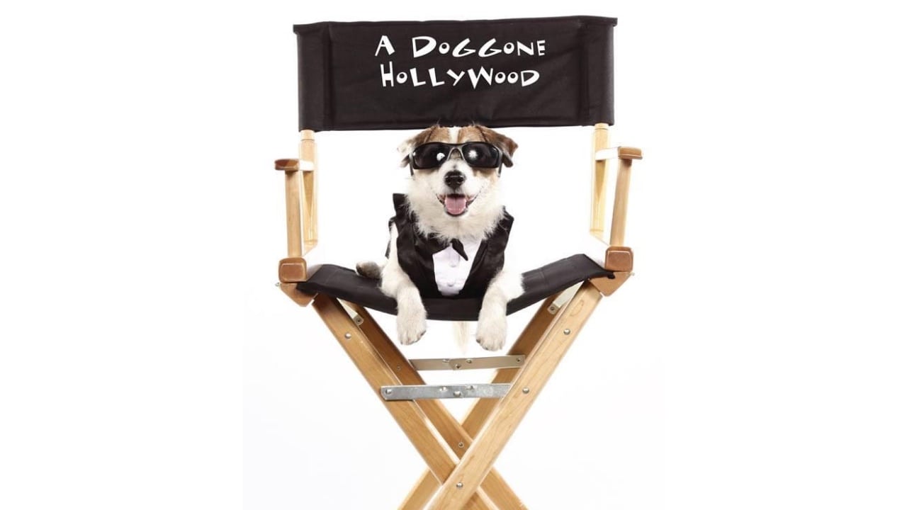 A Doggone Hollywood Background