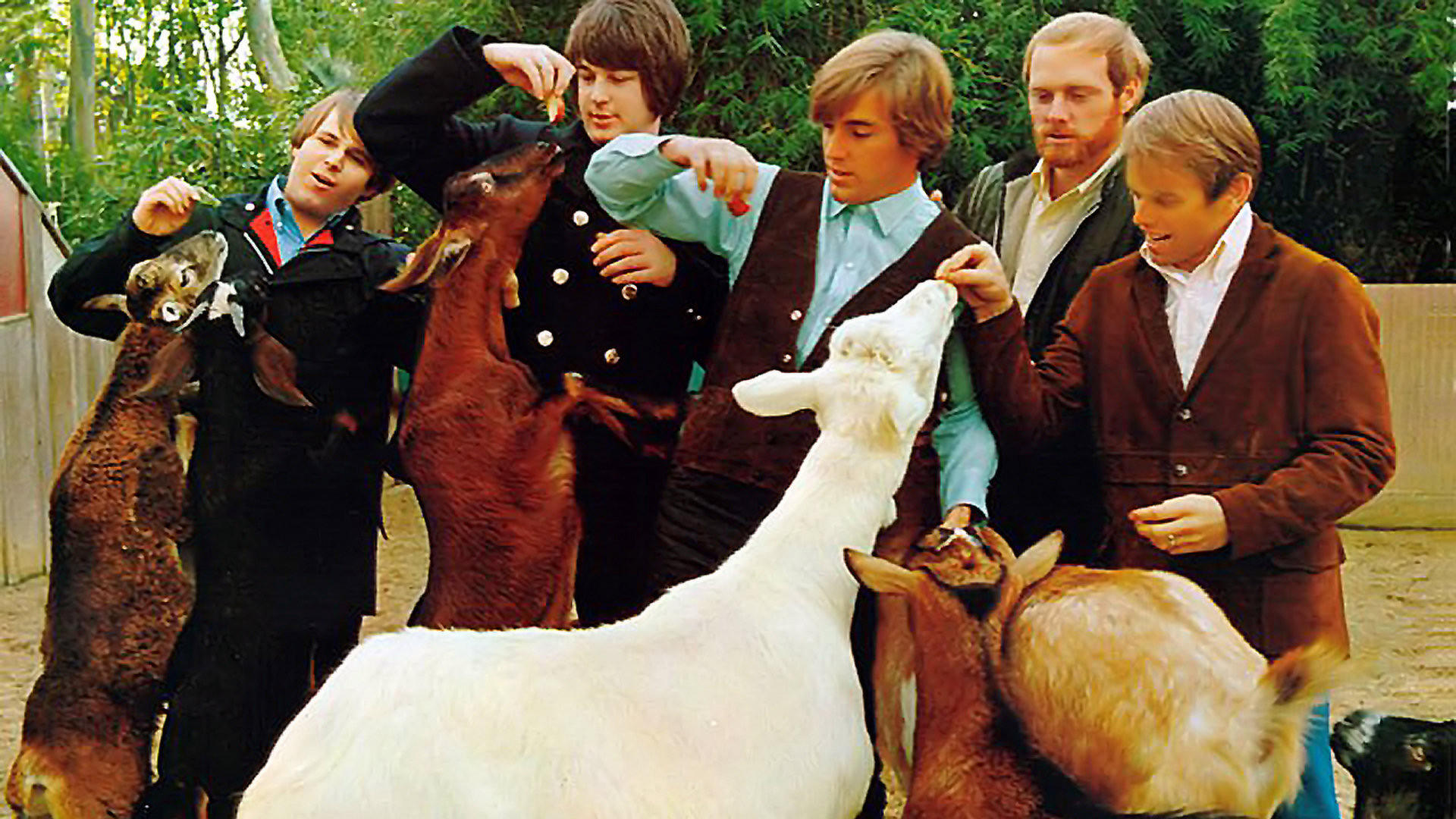 Classic Albums: The Beach Boys - Pet Sounds Background