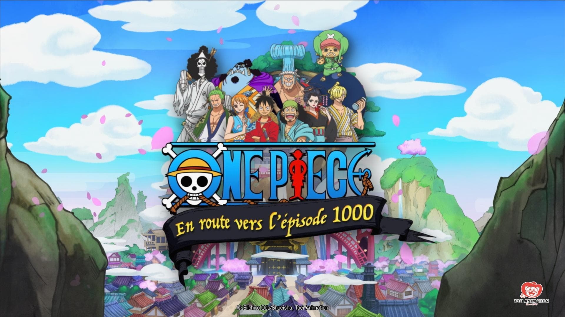 One Piece - En route vers l'épisode 1000 Background