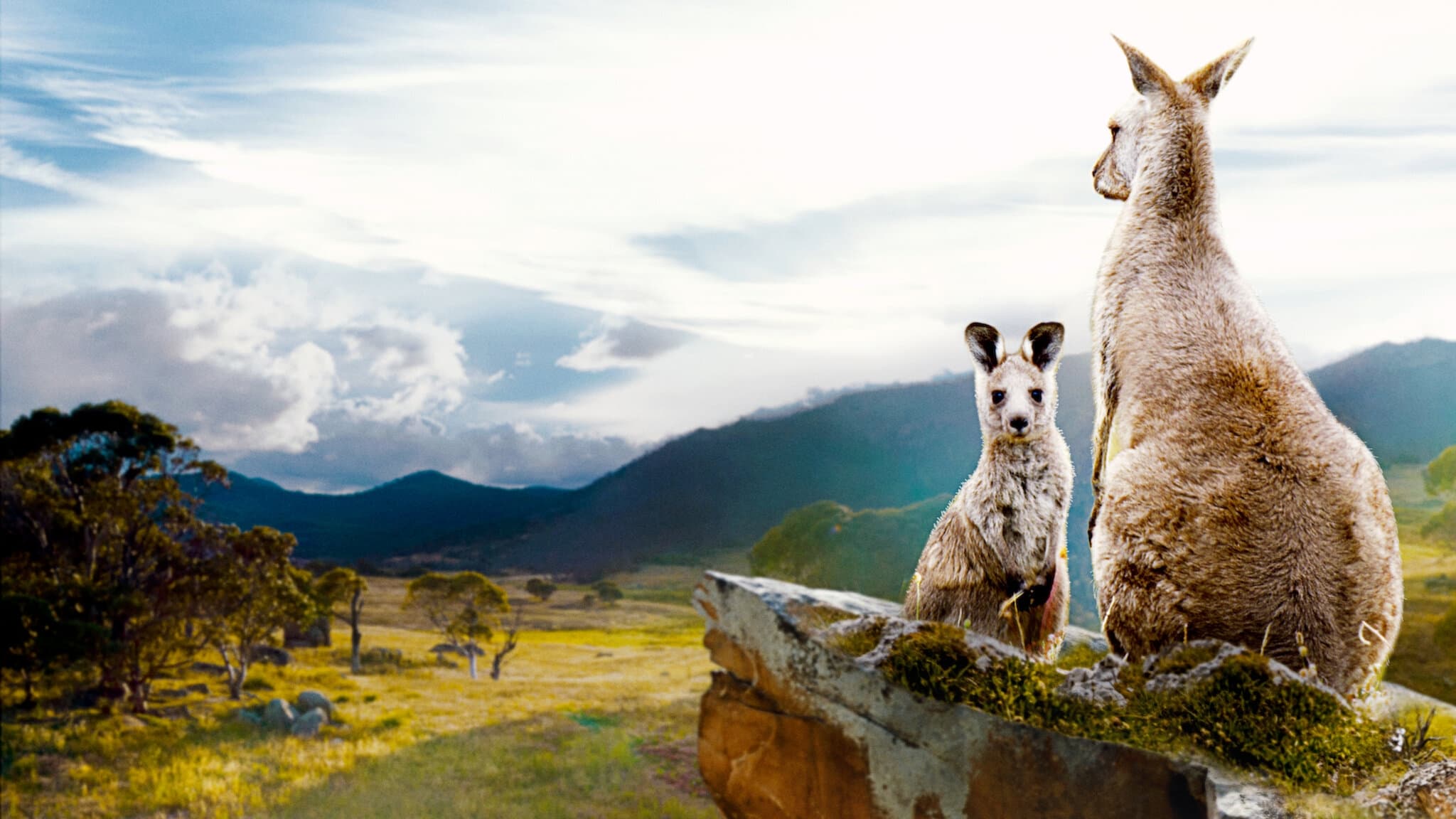 Kangaroo Valley Background