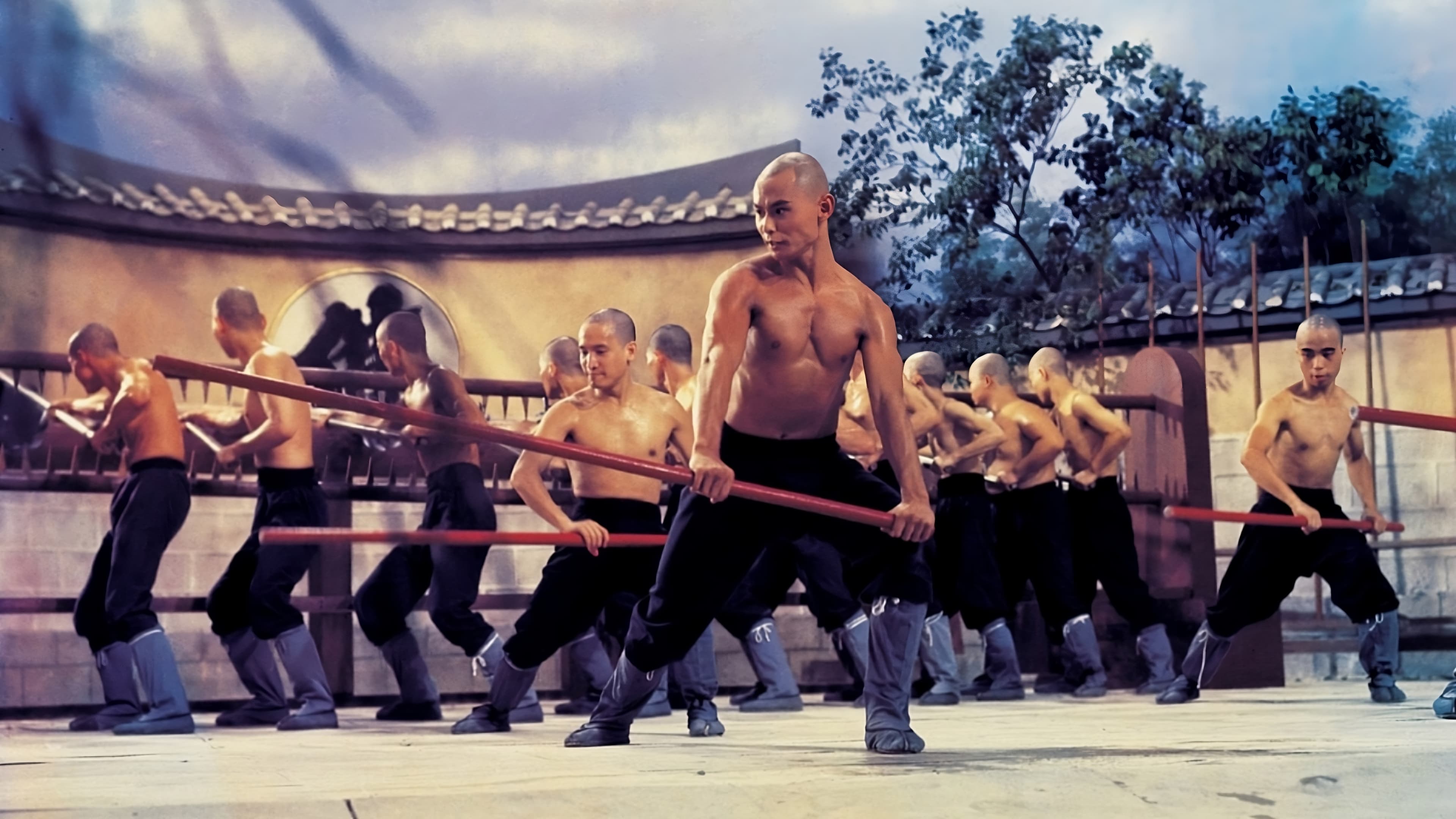 The 36th Chamber of Shaolin Background