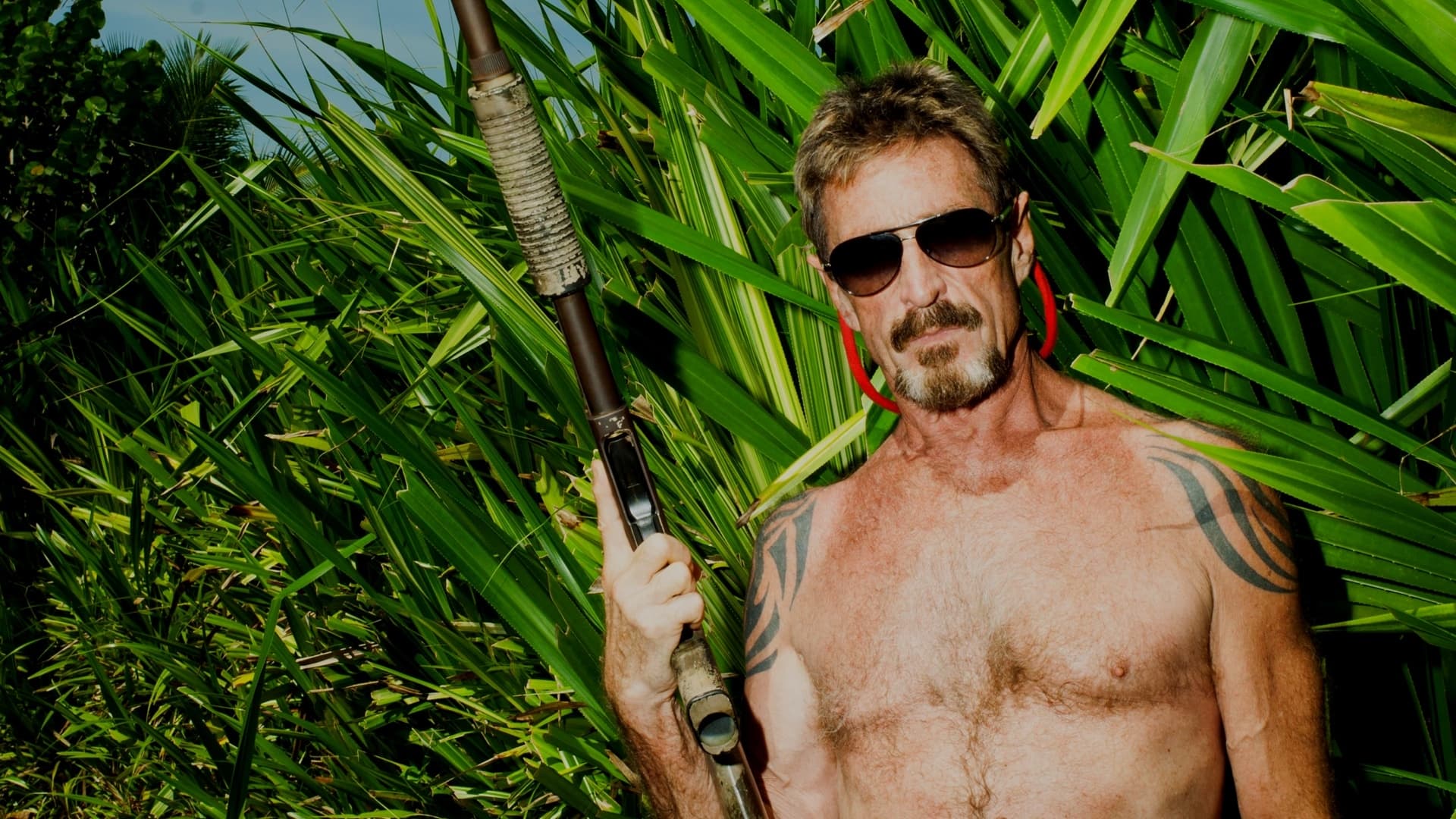 Gringo: The Dangerous Life of John McAfee Background