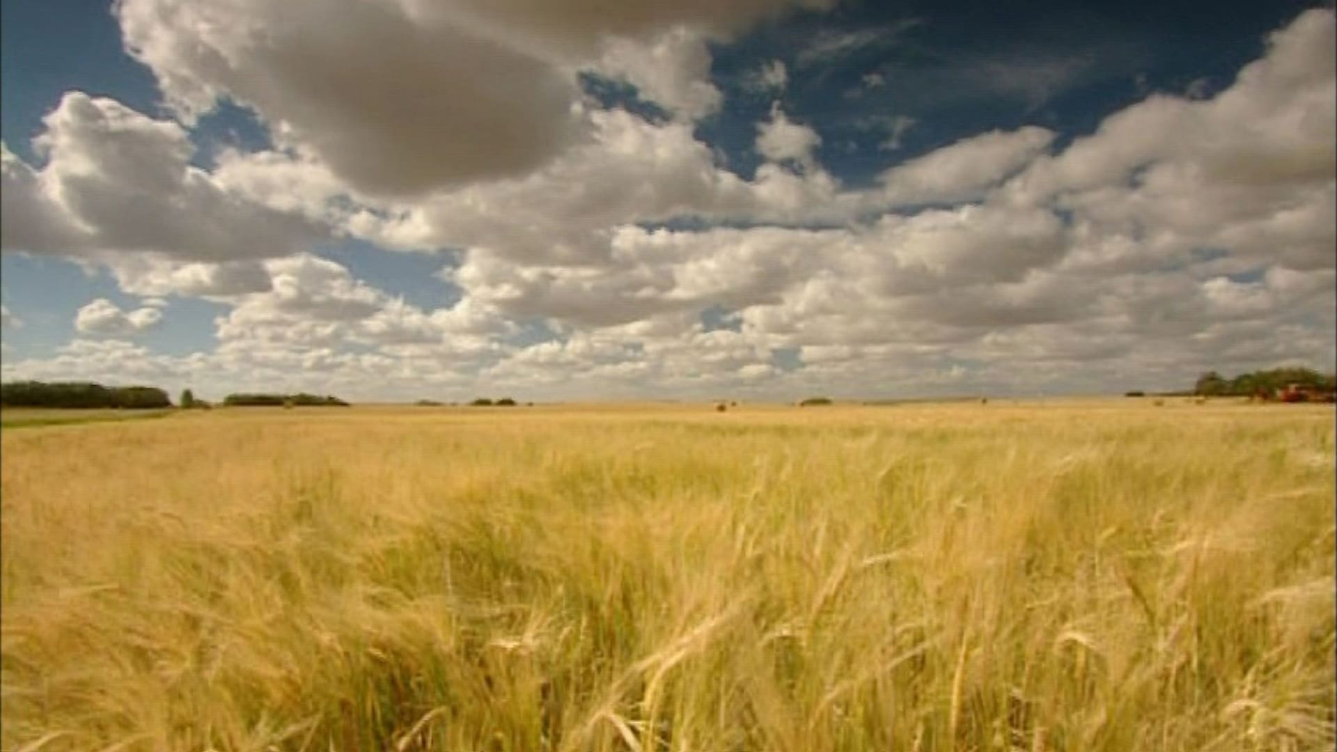 The Future of Food Background