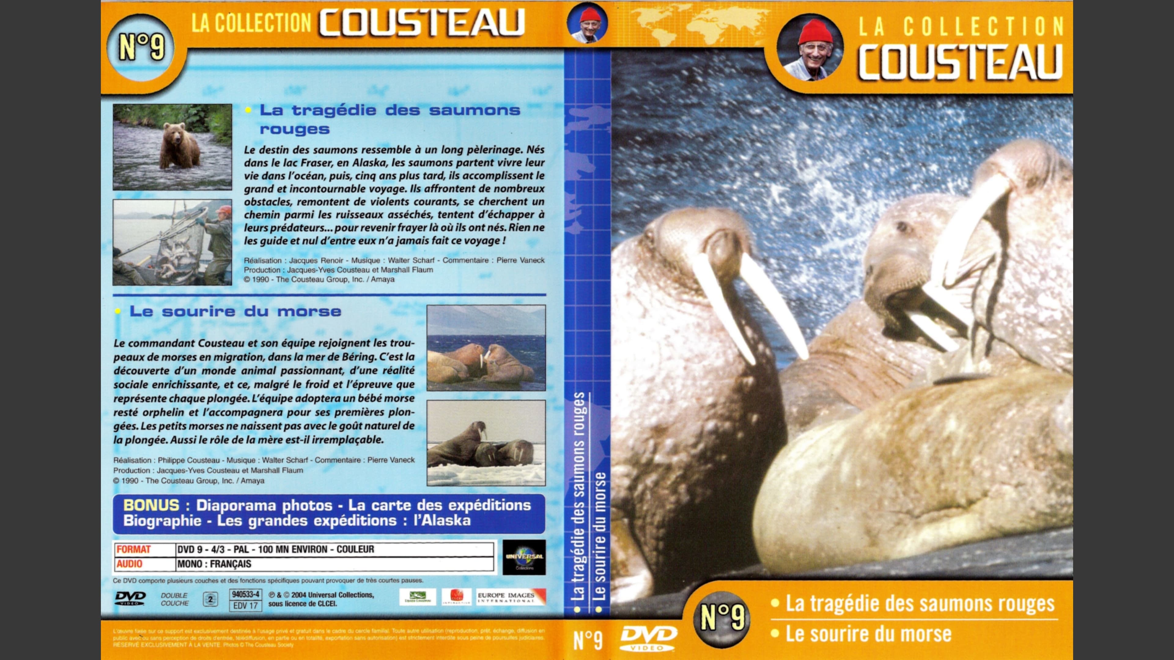 The Cousteau Collection N°9-2 | Morse's Smile Background