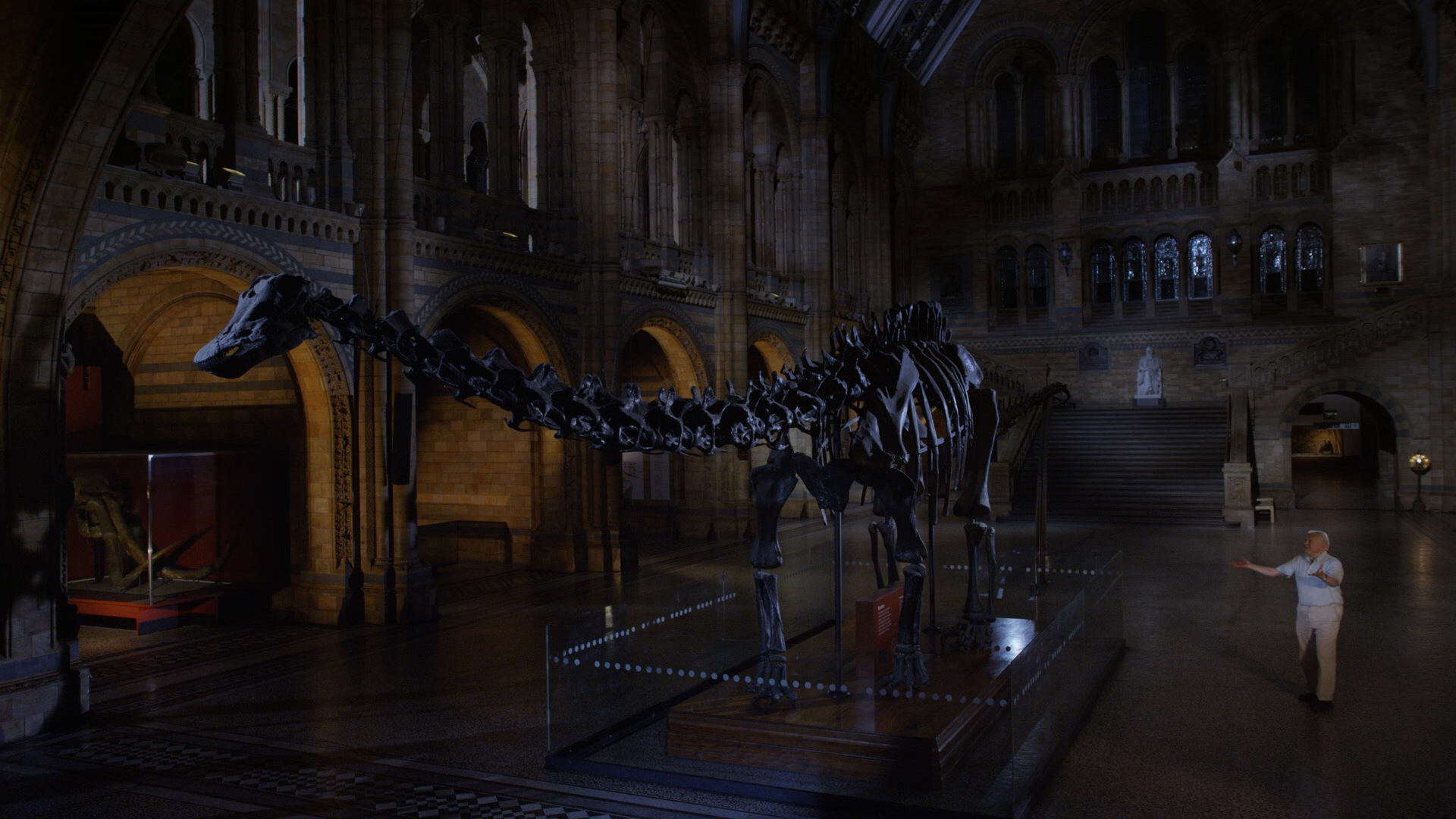 David Attenborough's Natural History Museum Alive Background