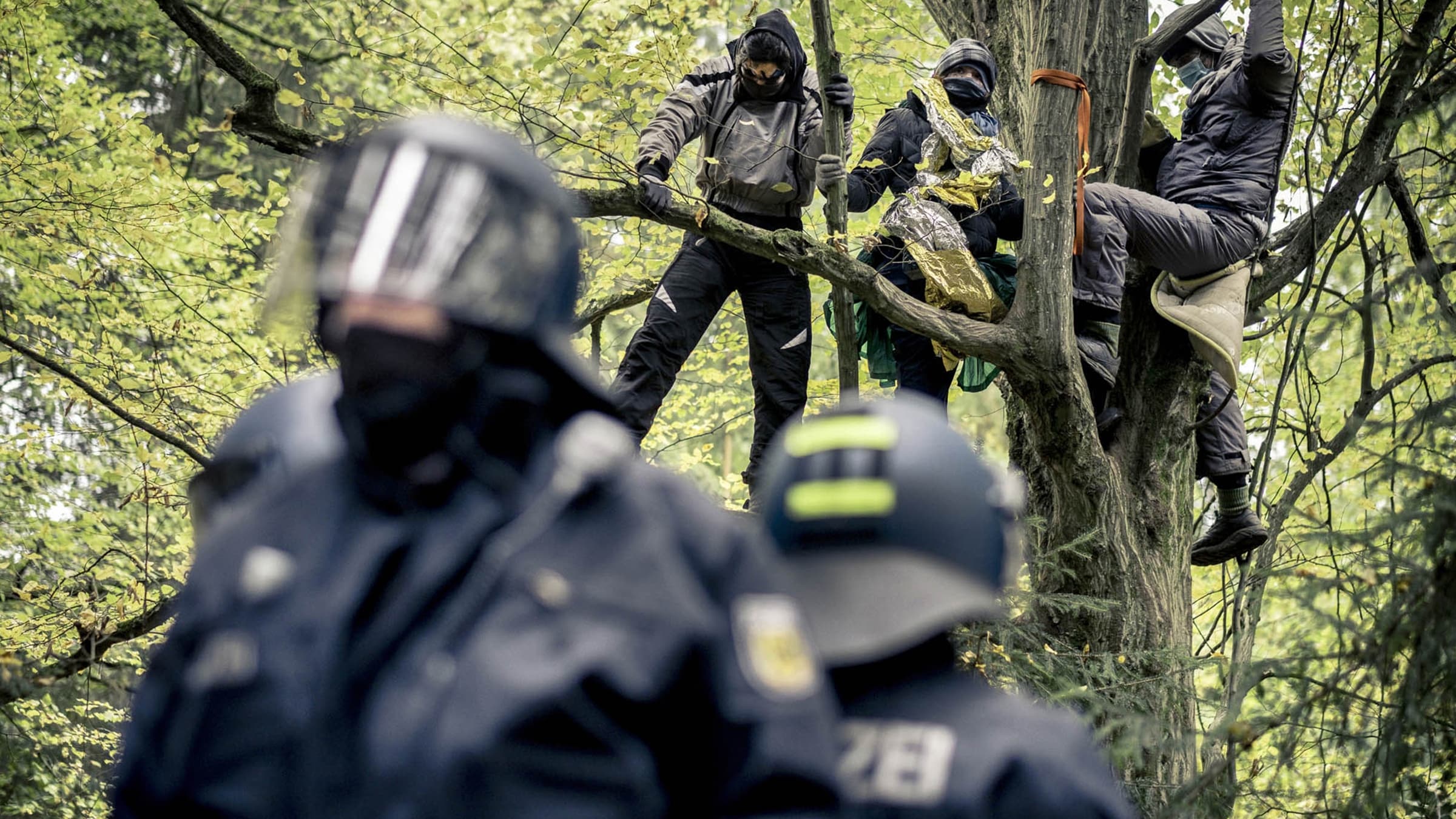 Barricade: Pictures of a Forest Occupation Background