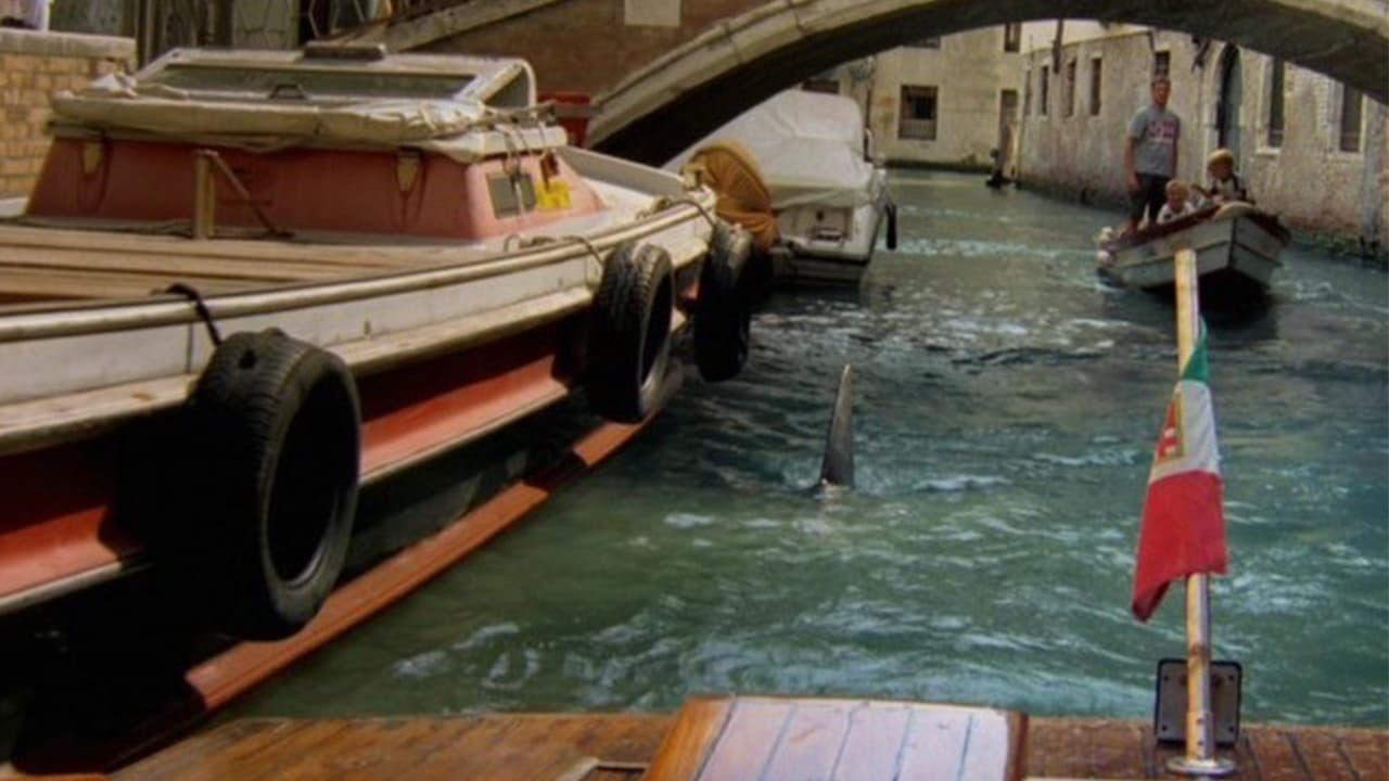 Sharks in Venice Background