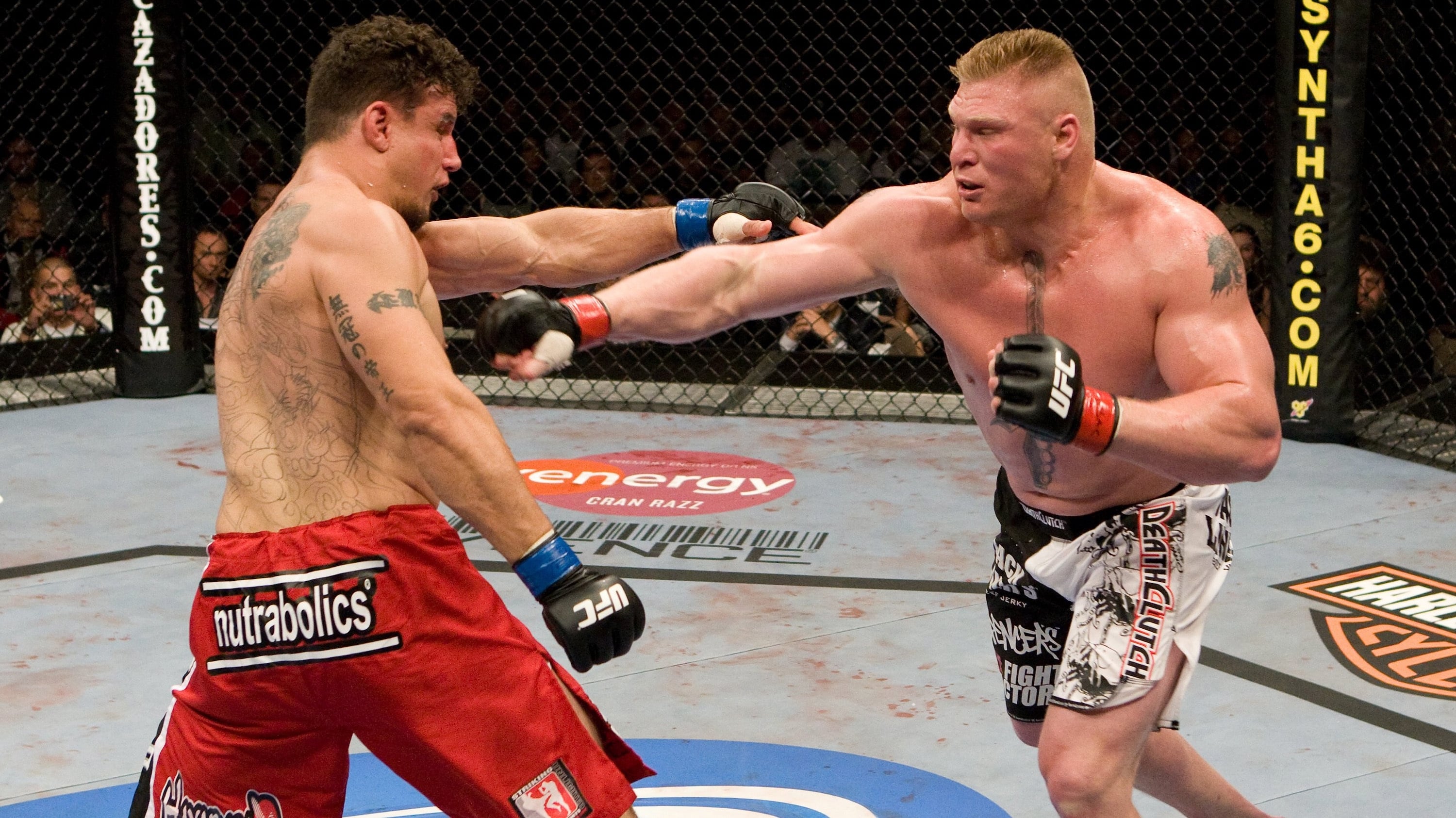 UFC 100: Lesnar vs. Mir 2 Background