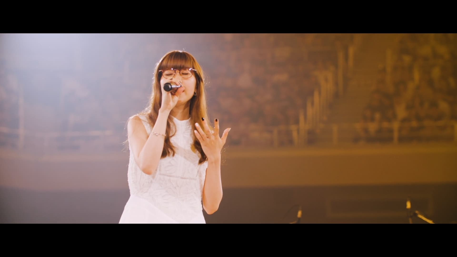 Aimer Live in Budokan "blanc et noir" Background