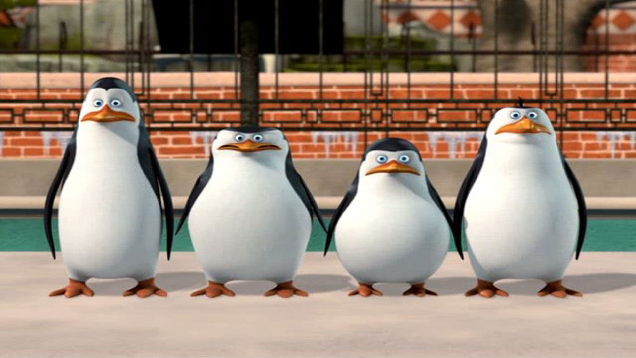 The Penguins of Madagascar: New to the Zoo Background