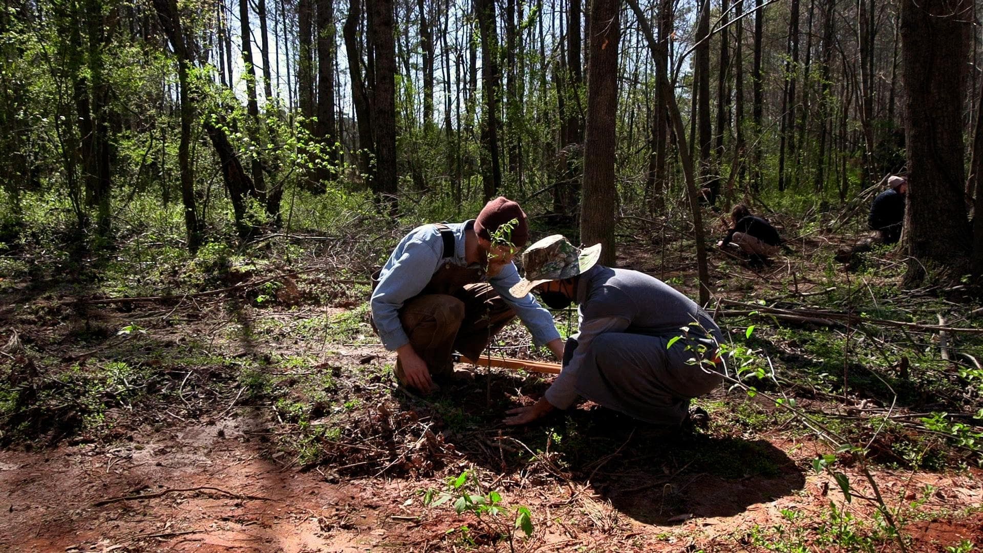 Atlanta Forest Garden: Four Days of Work Background