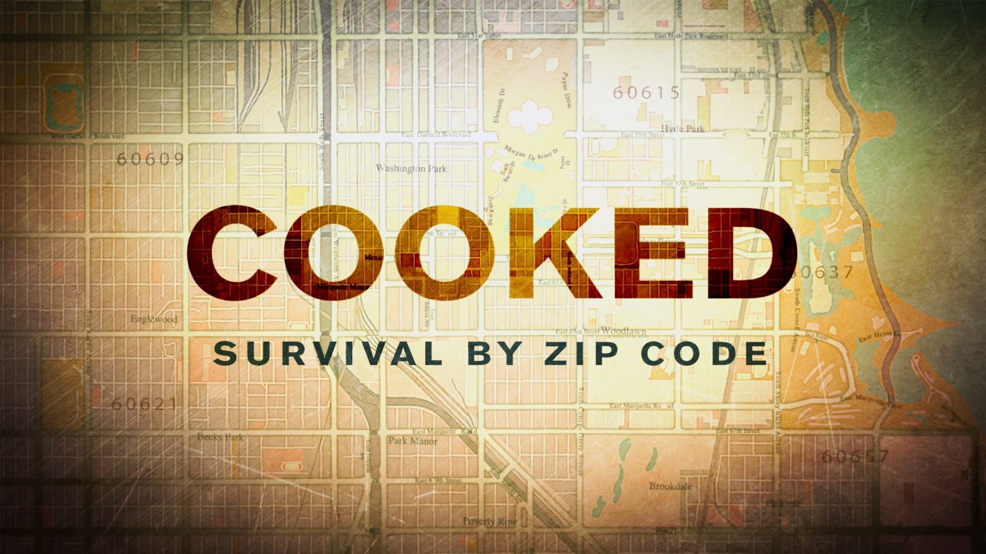 Cooked: Survival by Zip Code Background