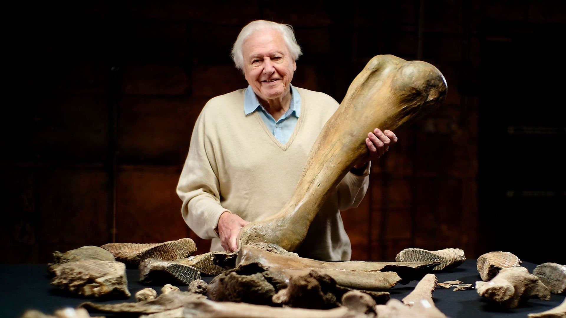 Attenborough and the Mammoth Graveyard Background